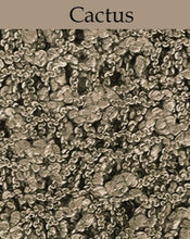 Load image into Gallery viewer, Cactus