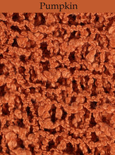 Load image into Gallery viewer, Pumpkin