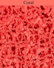 Load image into Gallery viewer, Coral